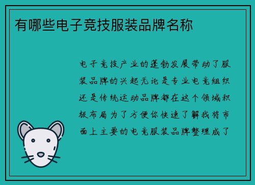 有哪些电子竞技服装品牌名称